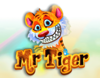 Mr Tiger