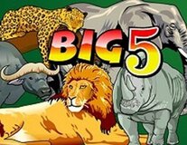 Big 5